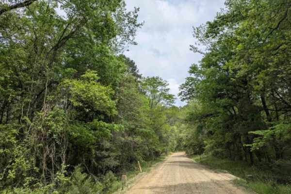 Spring Lake Access Road