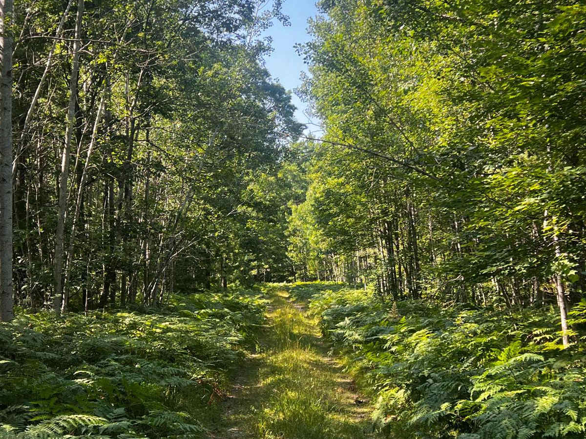 Bumpy Trail trail photo