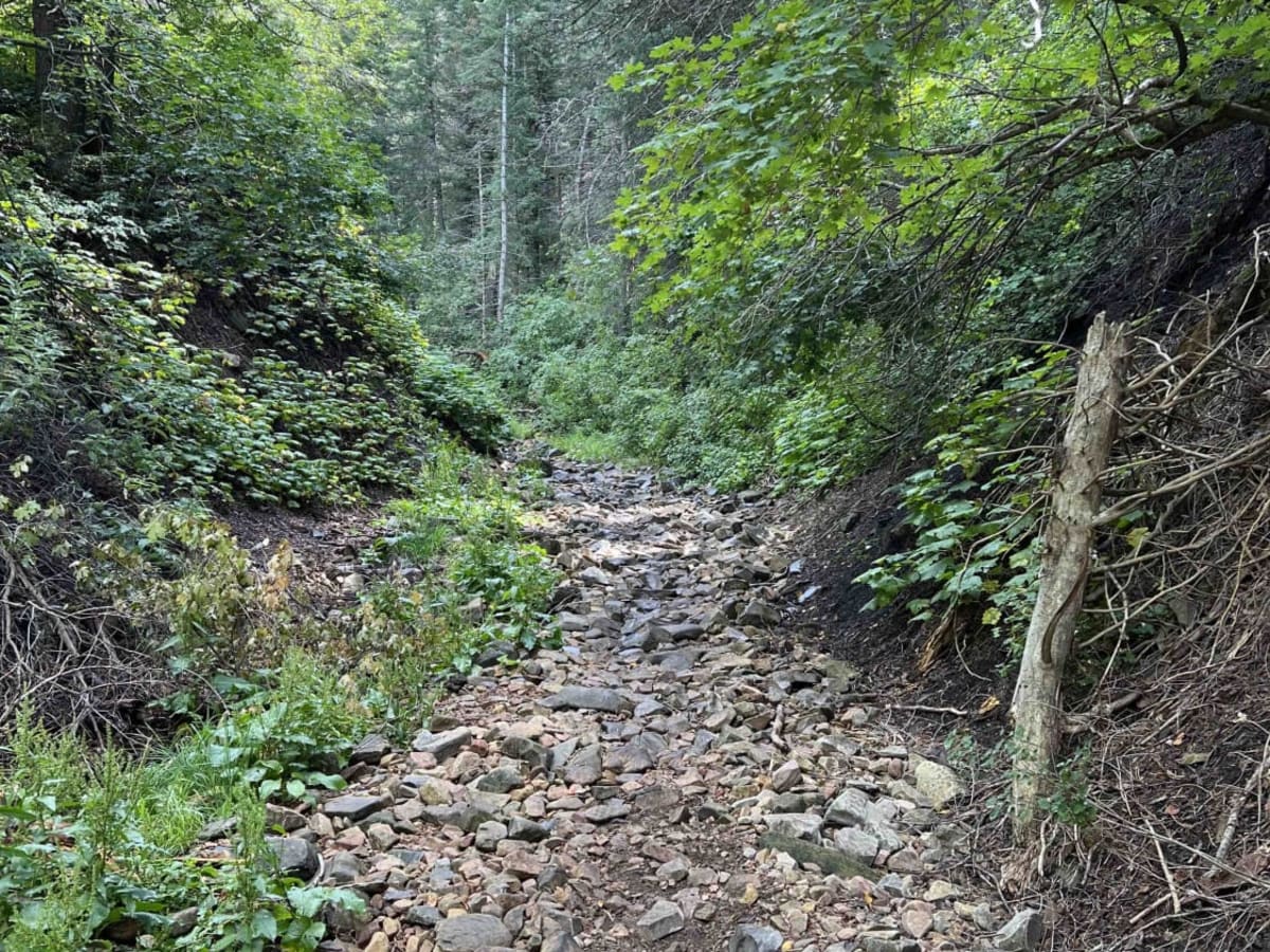Left Fork Maple Canyon (8006) photo 6