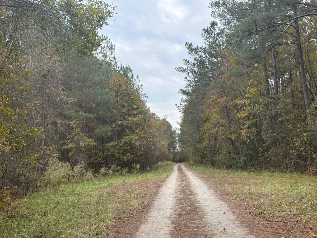 Crooked Road photo 3