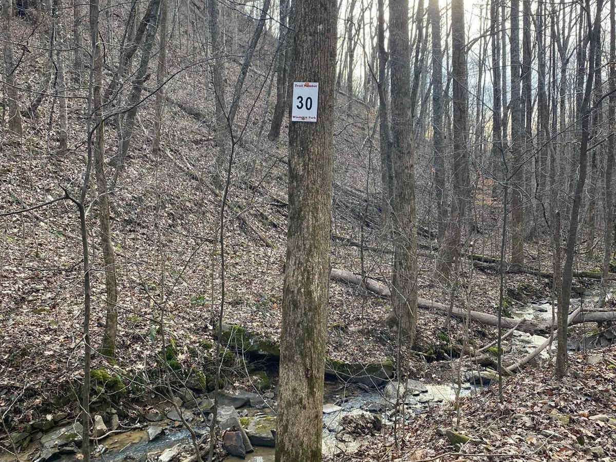 Trail 30 Windrock photo 2