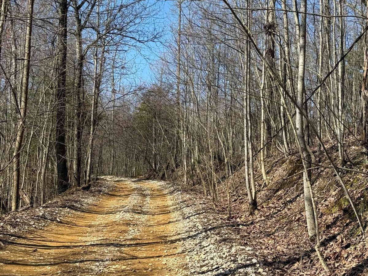 Trail 11 photo 4