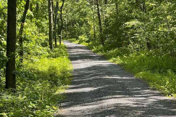 Robbins Run Road