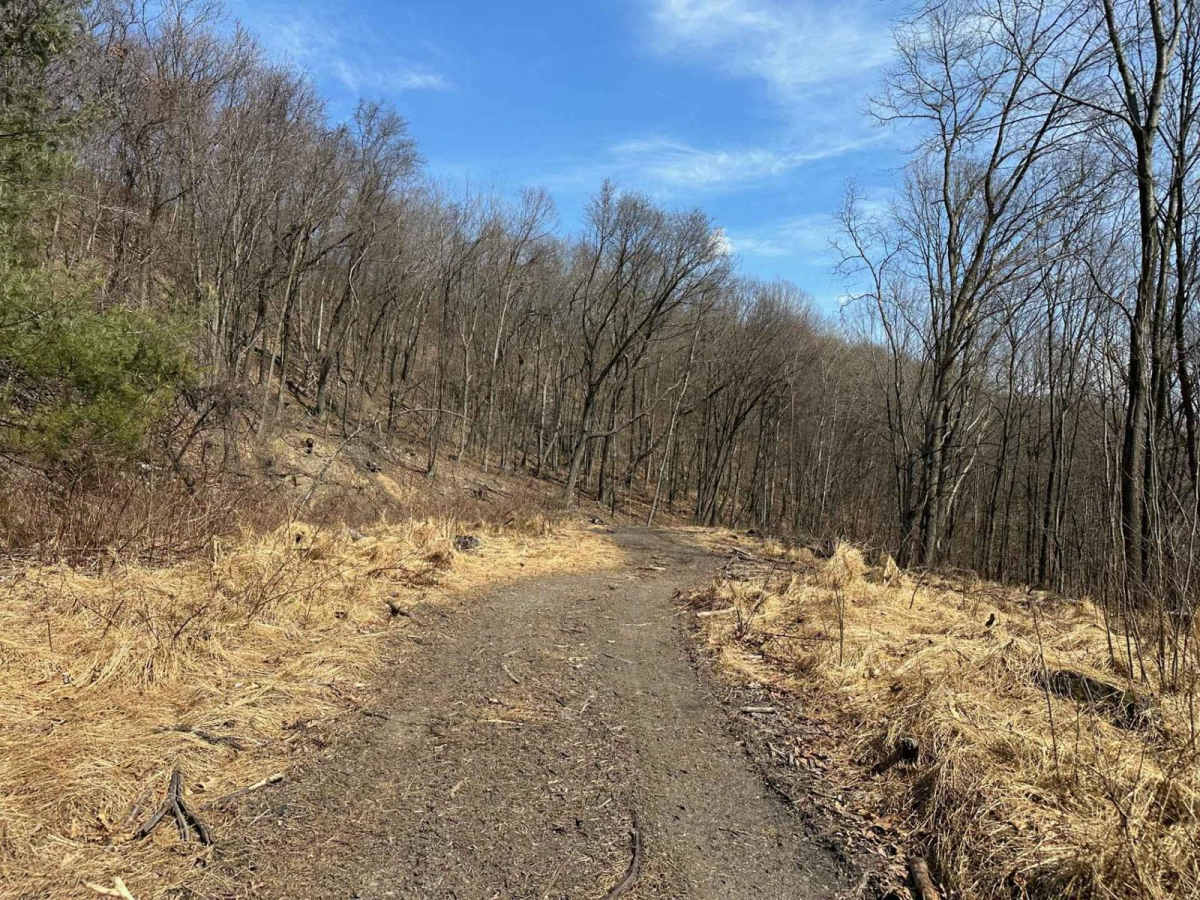 Ashland 15 photo 3