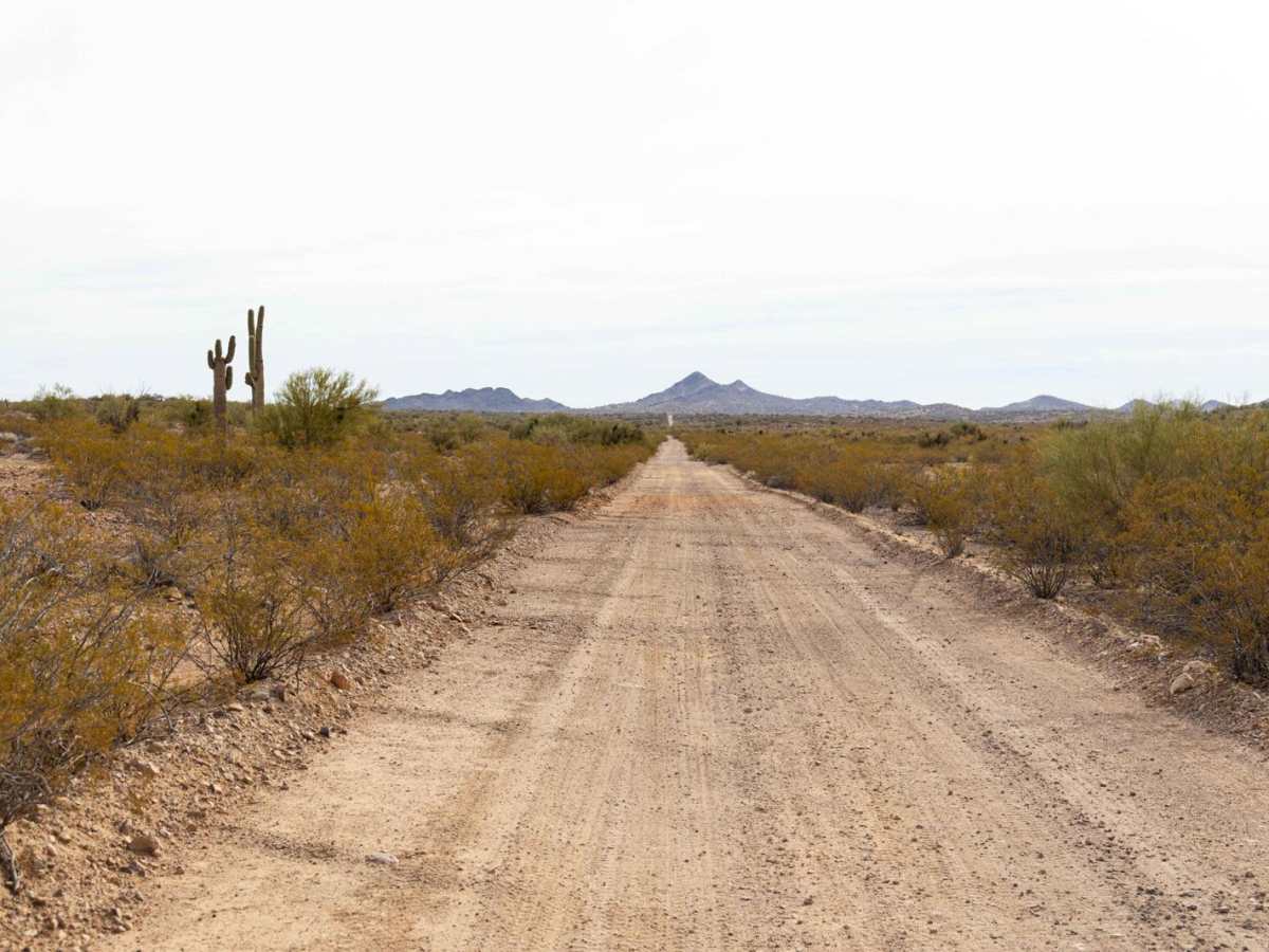 Microwave Station Road photo 5