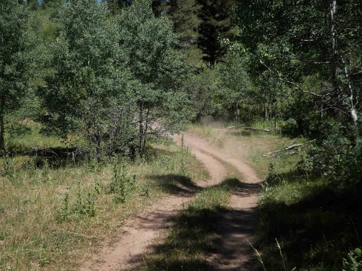 Dry Fork - Meadow Springs #5226 photo 3