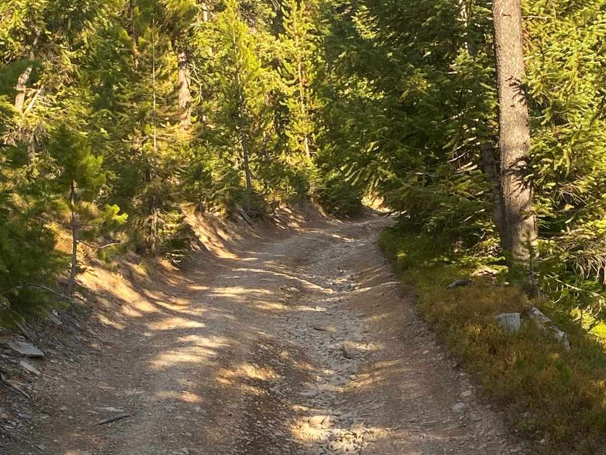 Meadow Peak Lookout photo 3