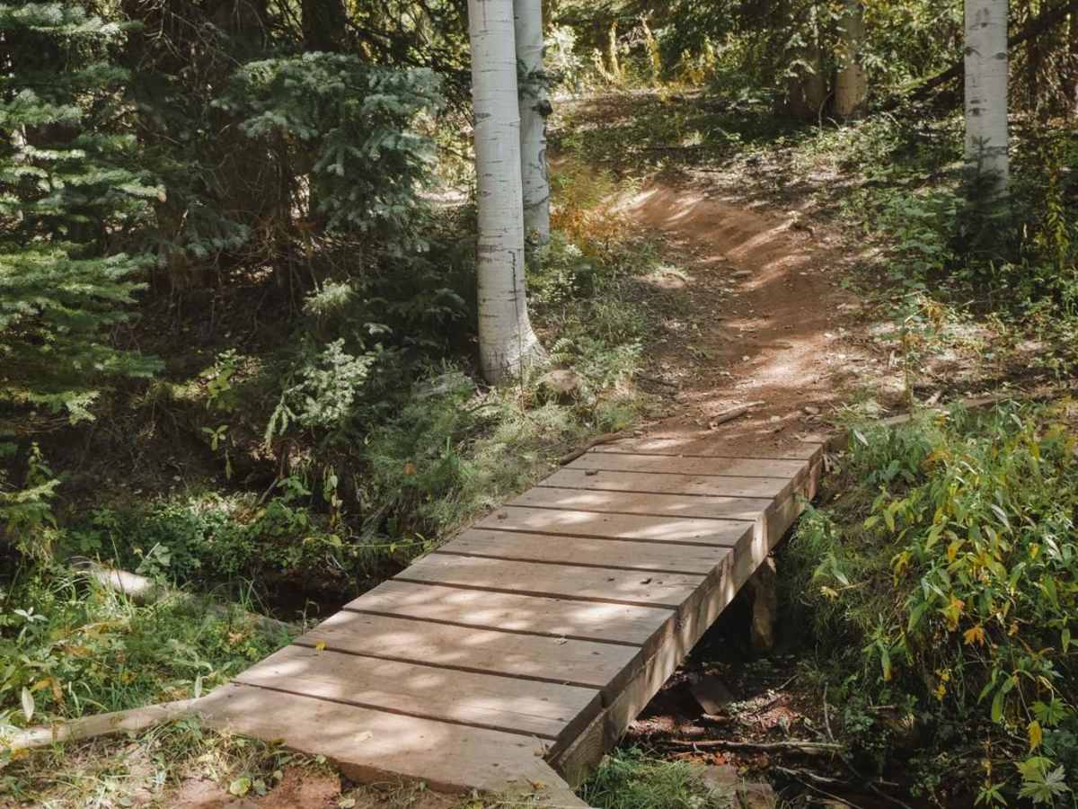 North Fork Cattle Creek Trail photo 5