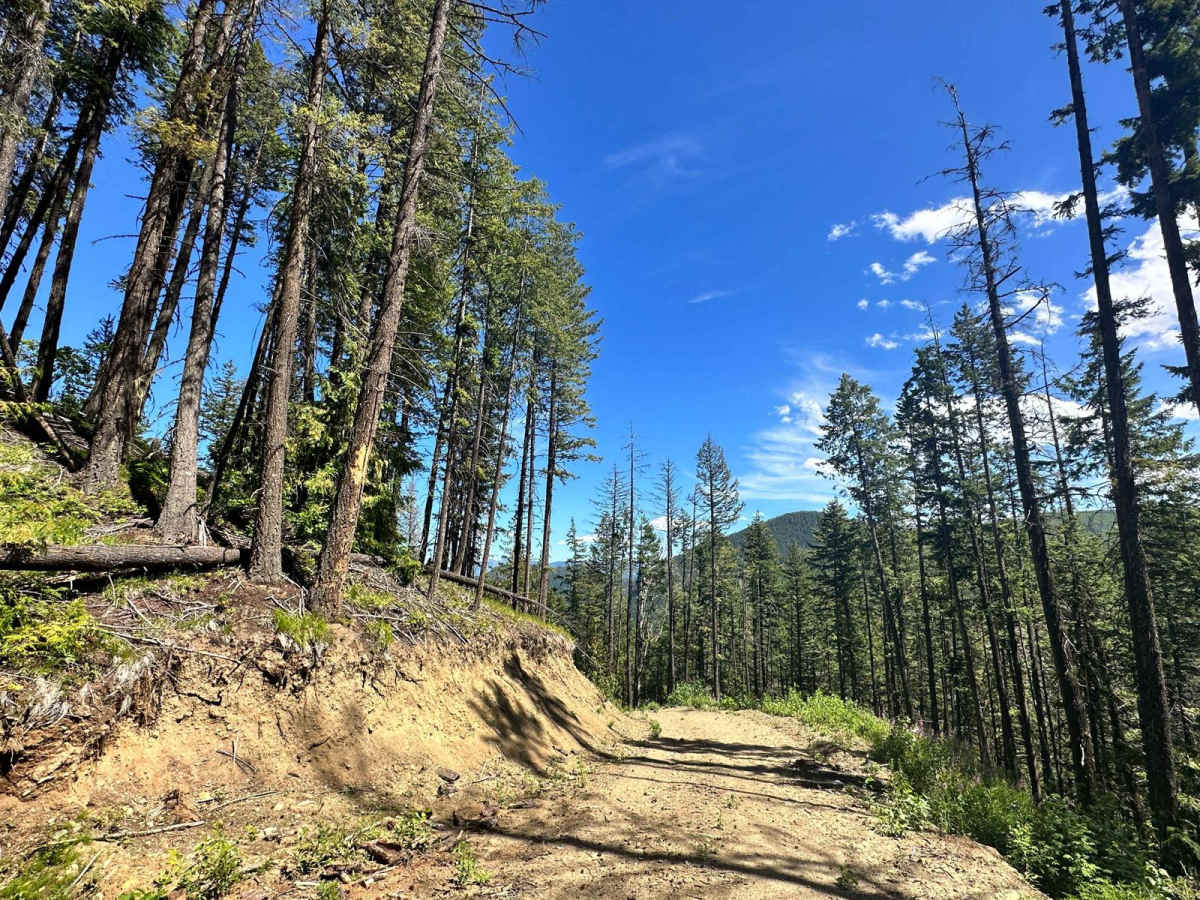 Bonneau Spur Route photo 4