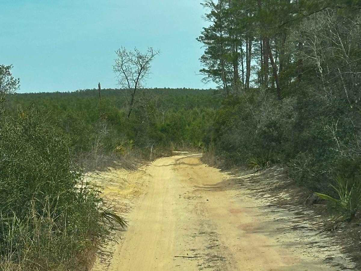 ONF Trail 17-2.6 photo 5