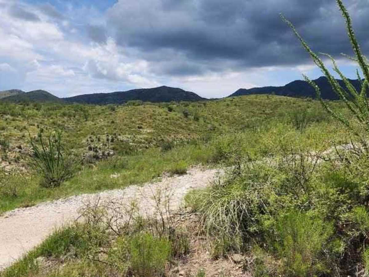 Continental Copper Access photo 6