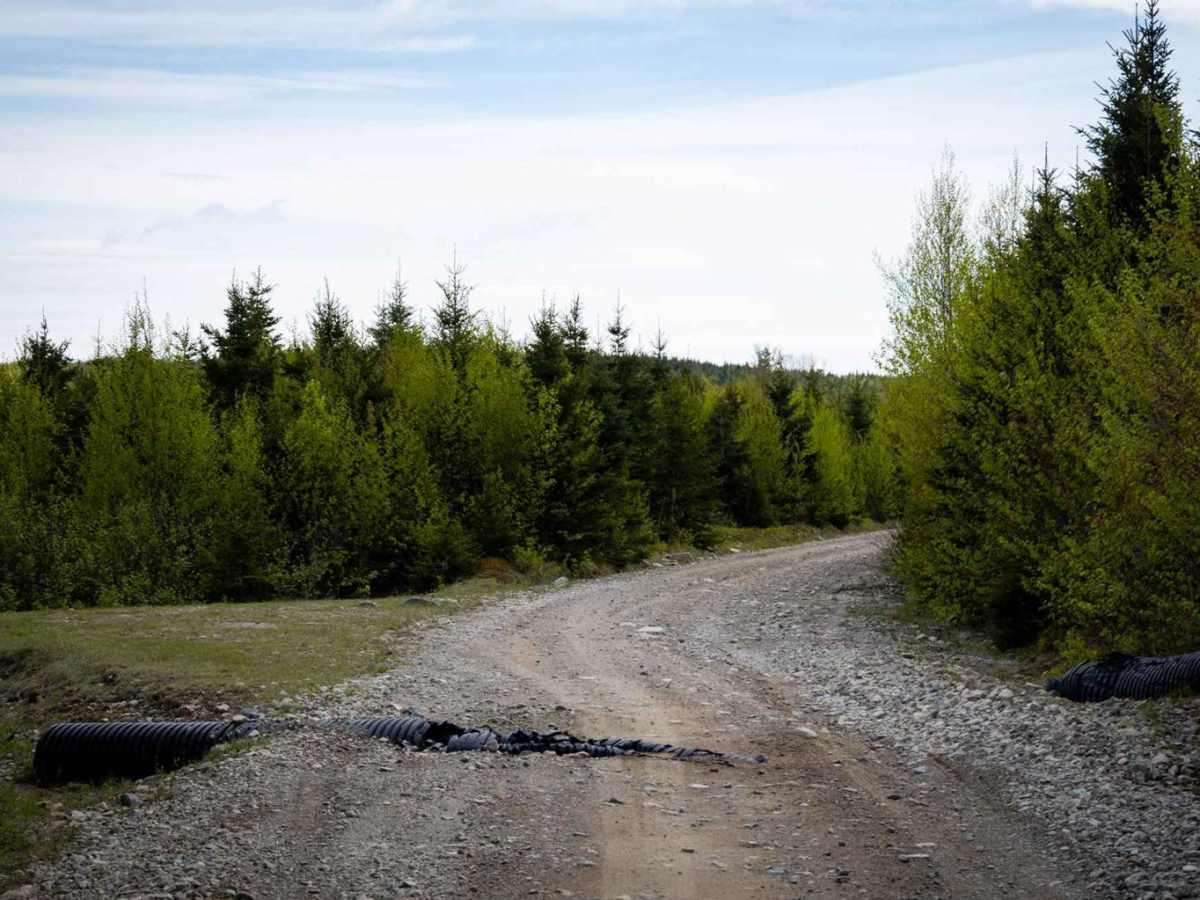 Goose Creek Road photo 2