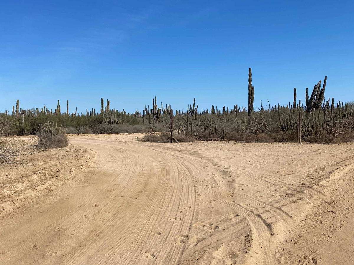 High Road Ejido Meliton photo 6
