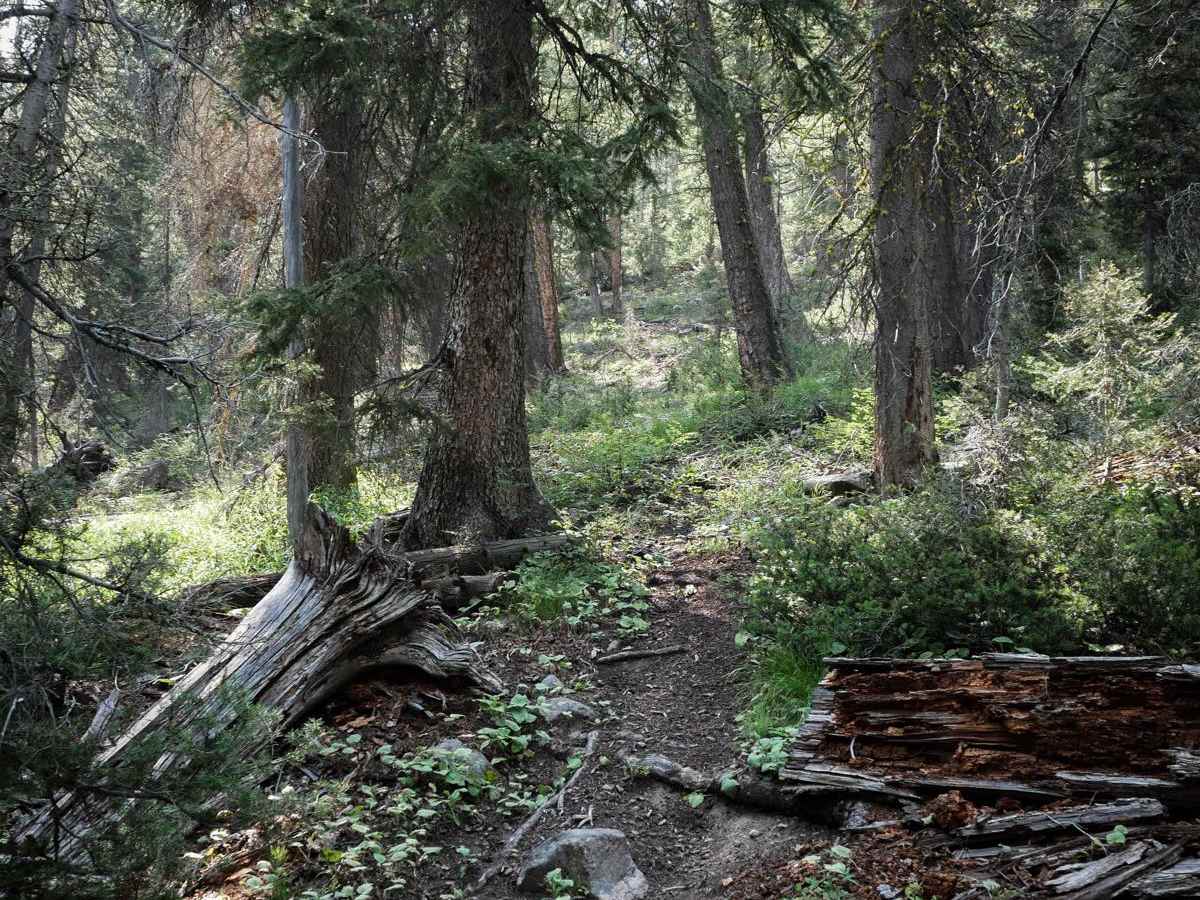 Five Mile Creek (South) photo 3