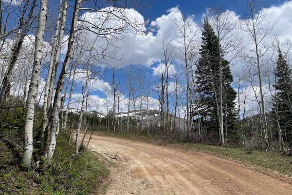 Mill B Road 70093
