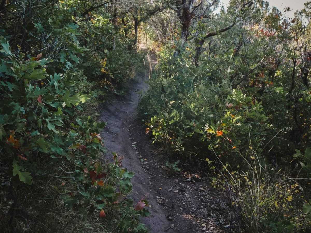 North Porcupine Trail photo 2