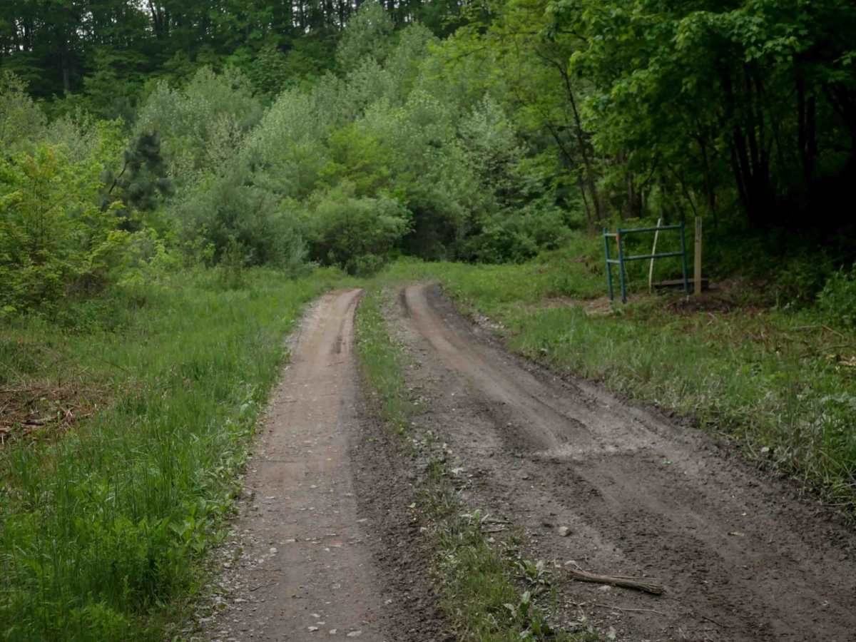 J34 photo 4