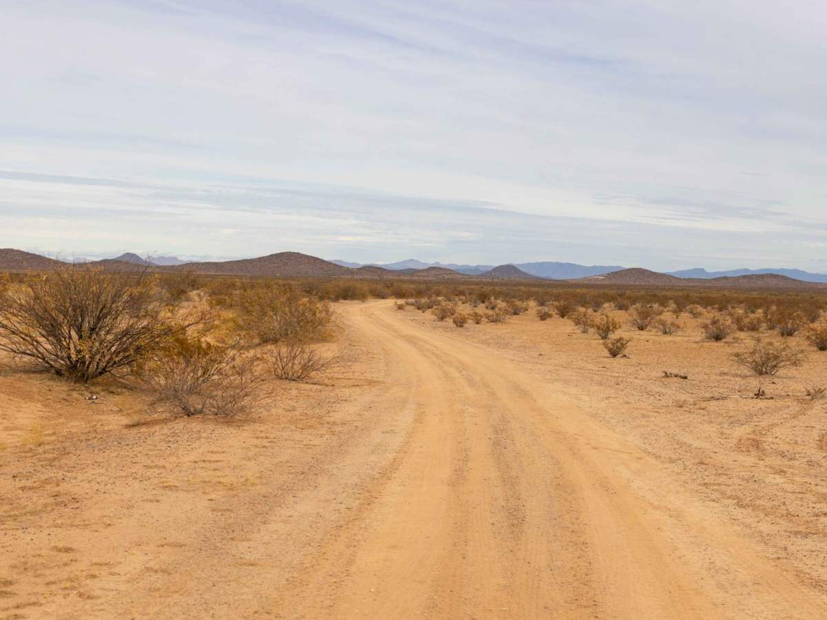 Windmill Oasis trail photo