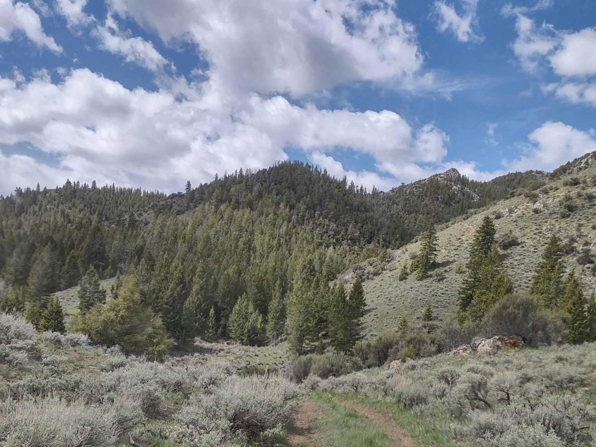 Arco Pass to Hurst Canyon photo 6