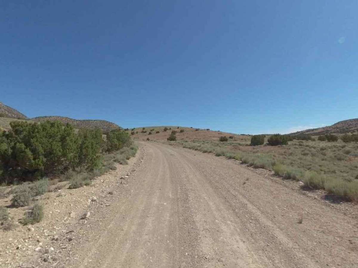 Conger Mountain OHV Route 5 photo 2