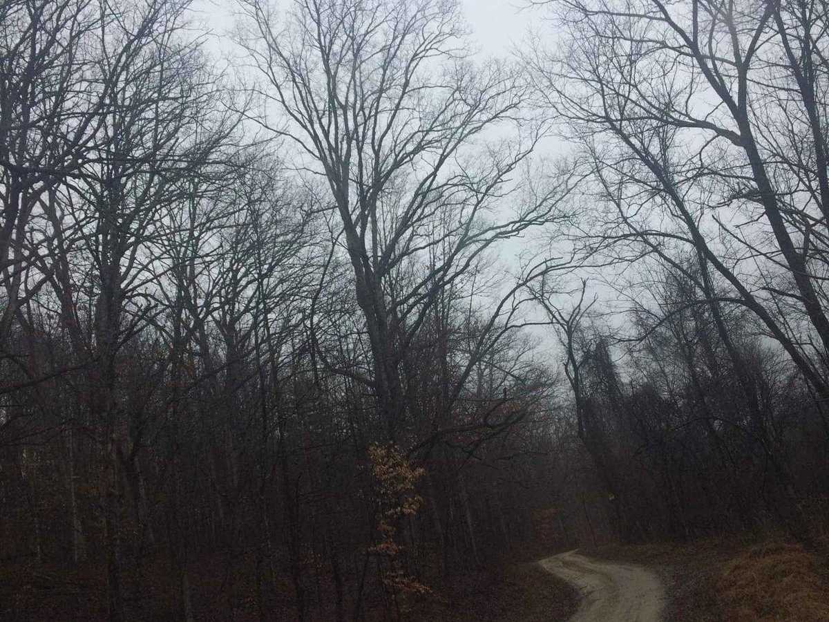 Indian Run photo 4