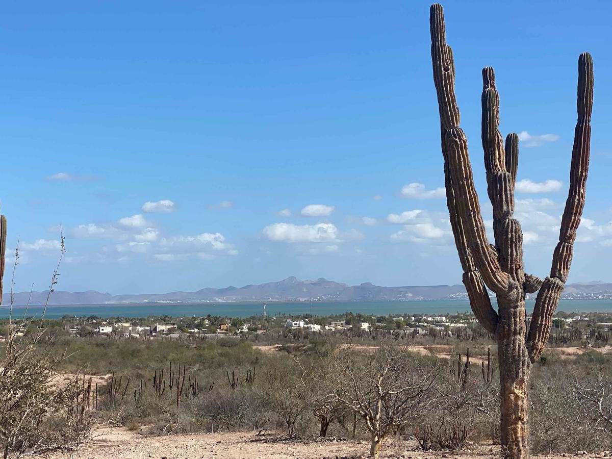 Centenario Cutoff trail photo