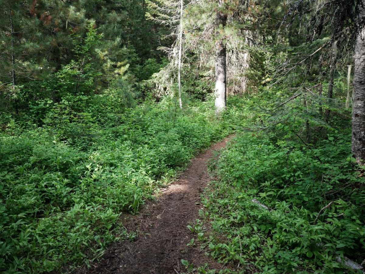 Ames Ridge NRT photo 2