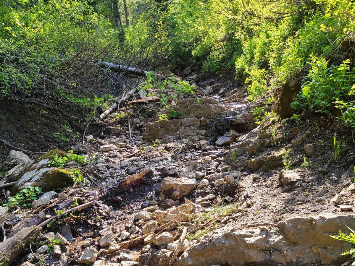 Card Canyon West photo 5