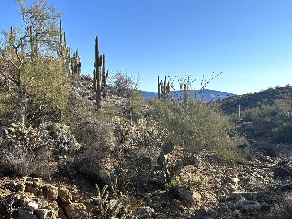 Groom Peak Loop photo 5