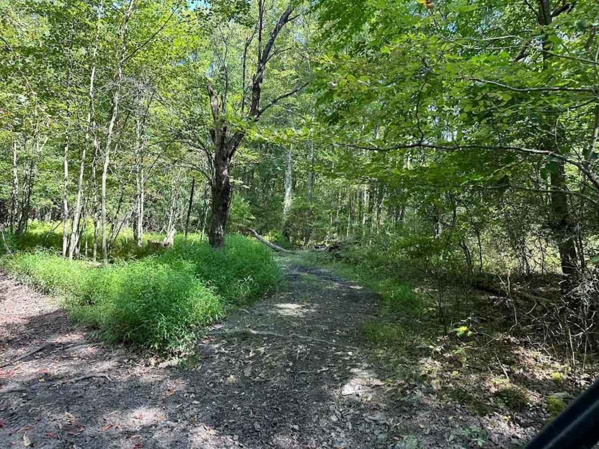 Single Track Blue trail photo
