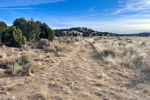 Shoebuckle Road 1059