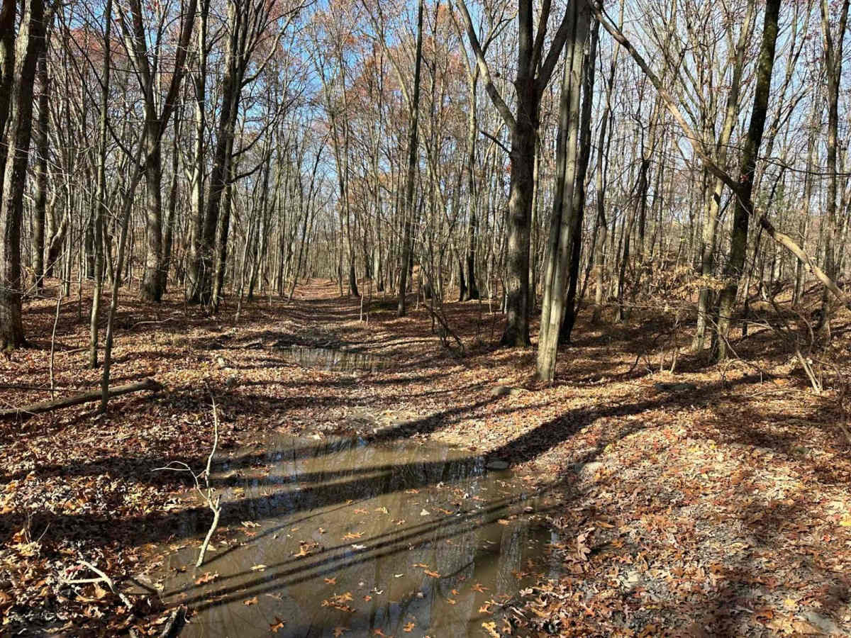 Ashland 27 photo 2