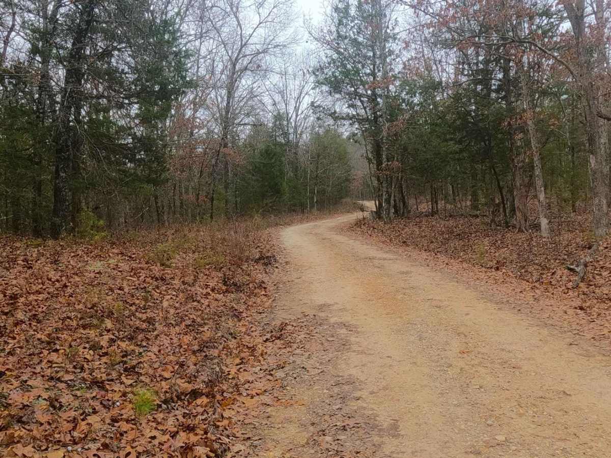 Fort Bald - FS 612 photo 3