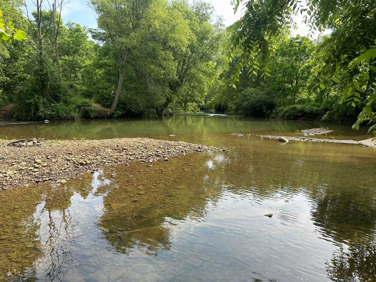 Pine Flat - Laurel Fork Road photo 3