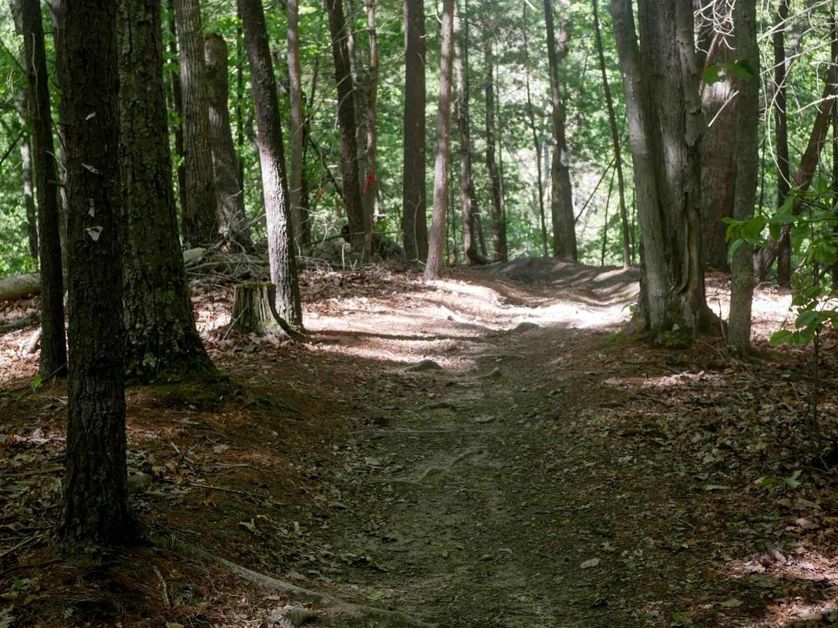 Single Track 1 photo 4