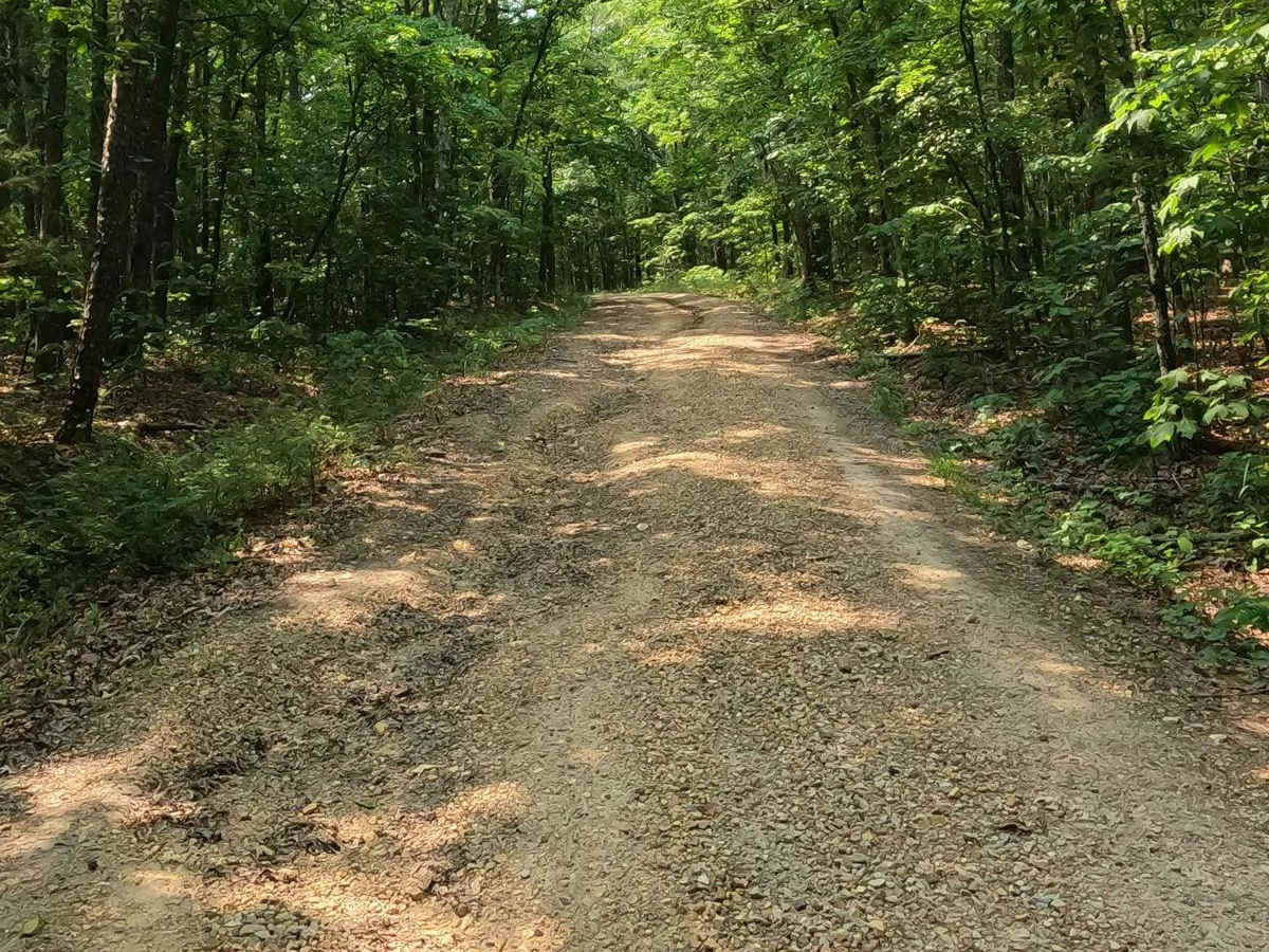 Matthews Mountain FSR 2127 photo 2