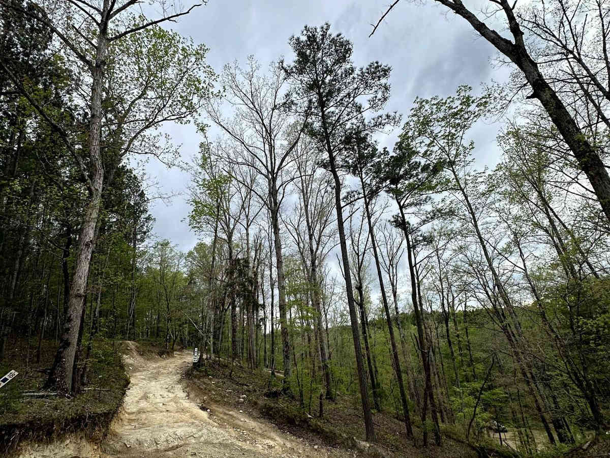 Trail 18 trail photo