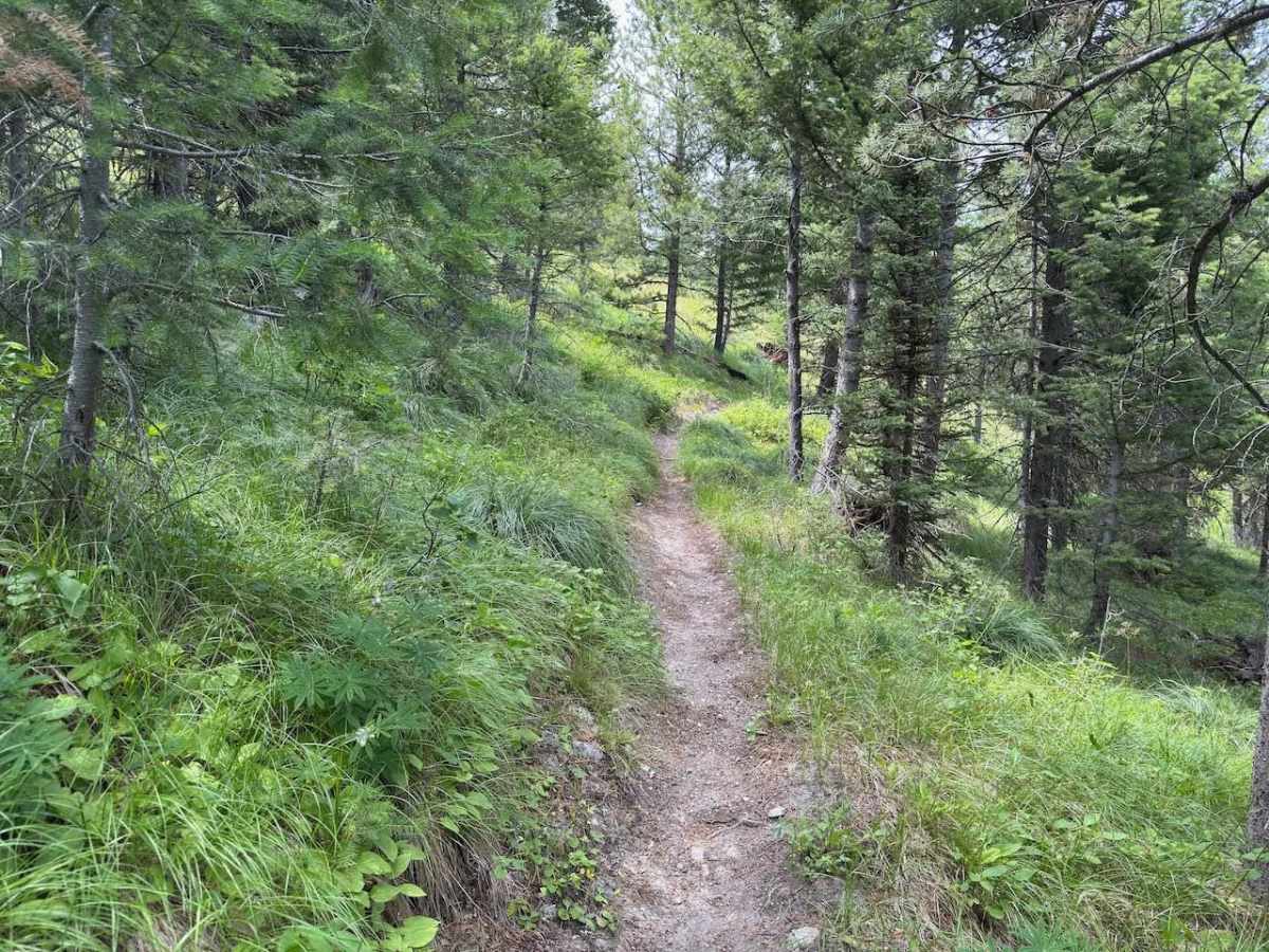 Andrews Creek Dirt Bike photo 6