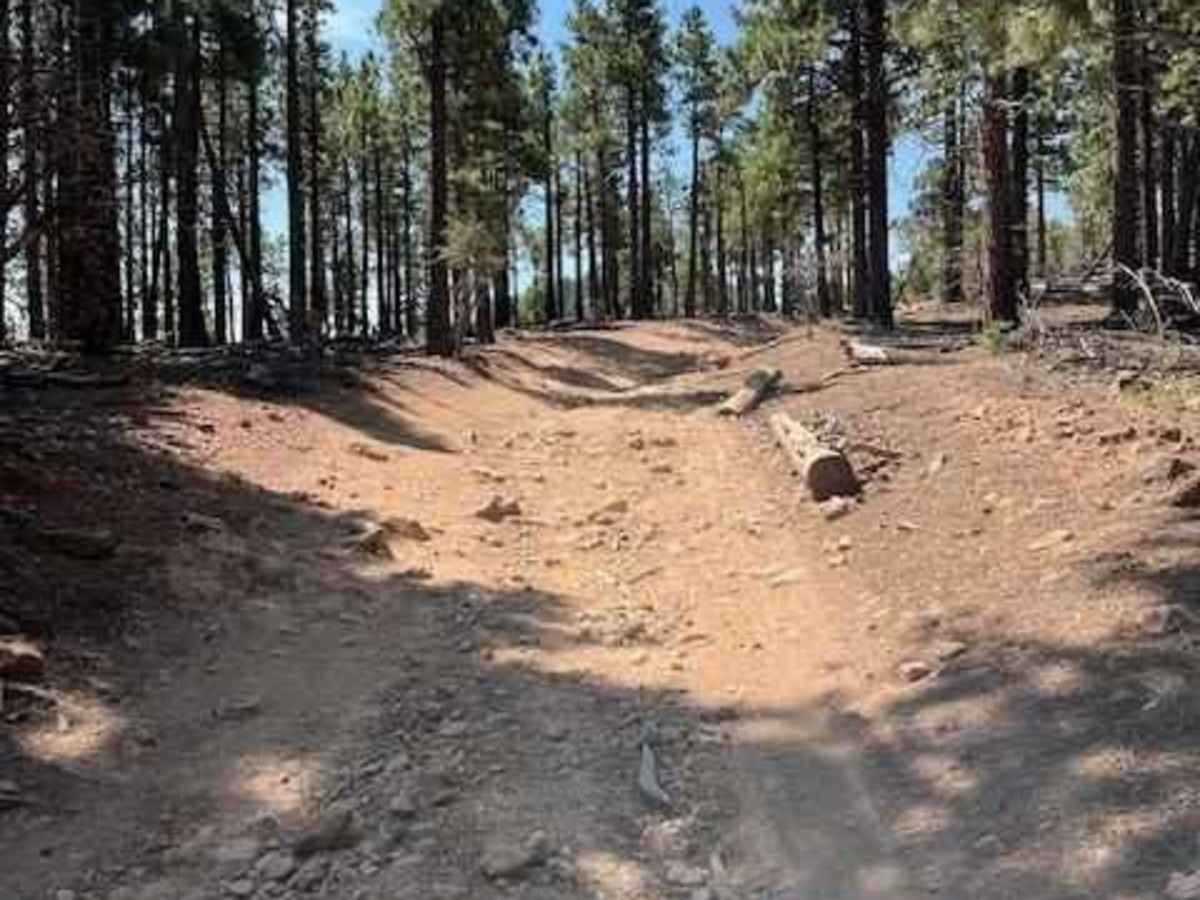 Hunter Lake photo 2