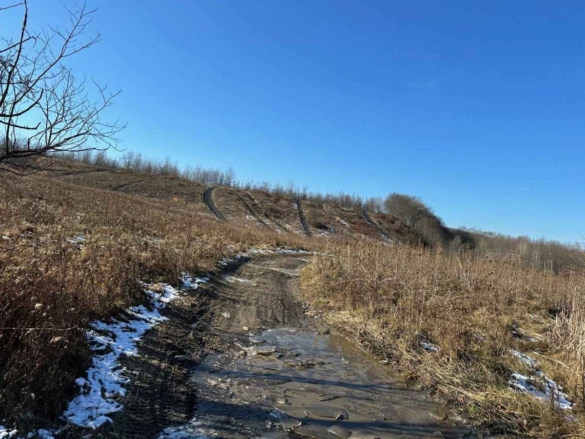 Locust Gap 58 photo 3