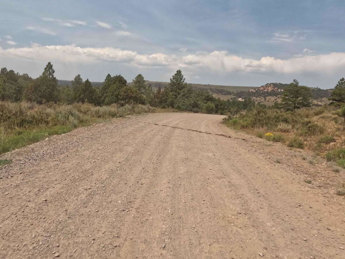 Toms Best Spring Road (BLM 33001A-30117) photo 4