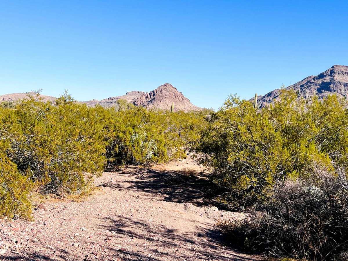 AZ Peace Trail Lava Rock Camp Trail photo 2