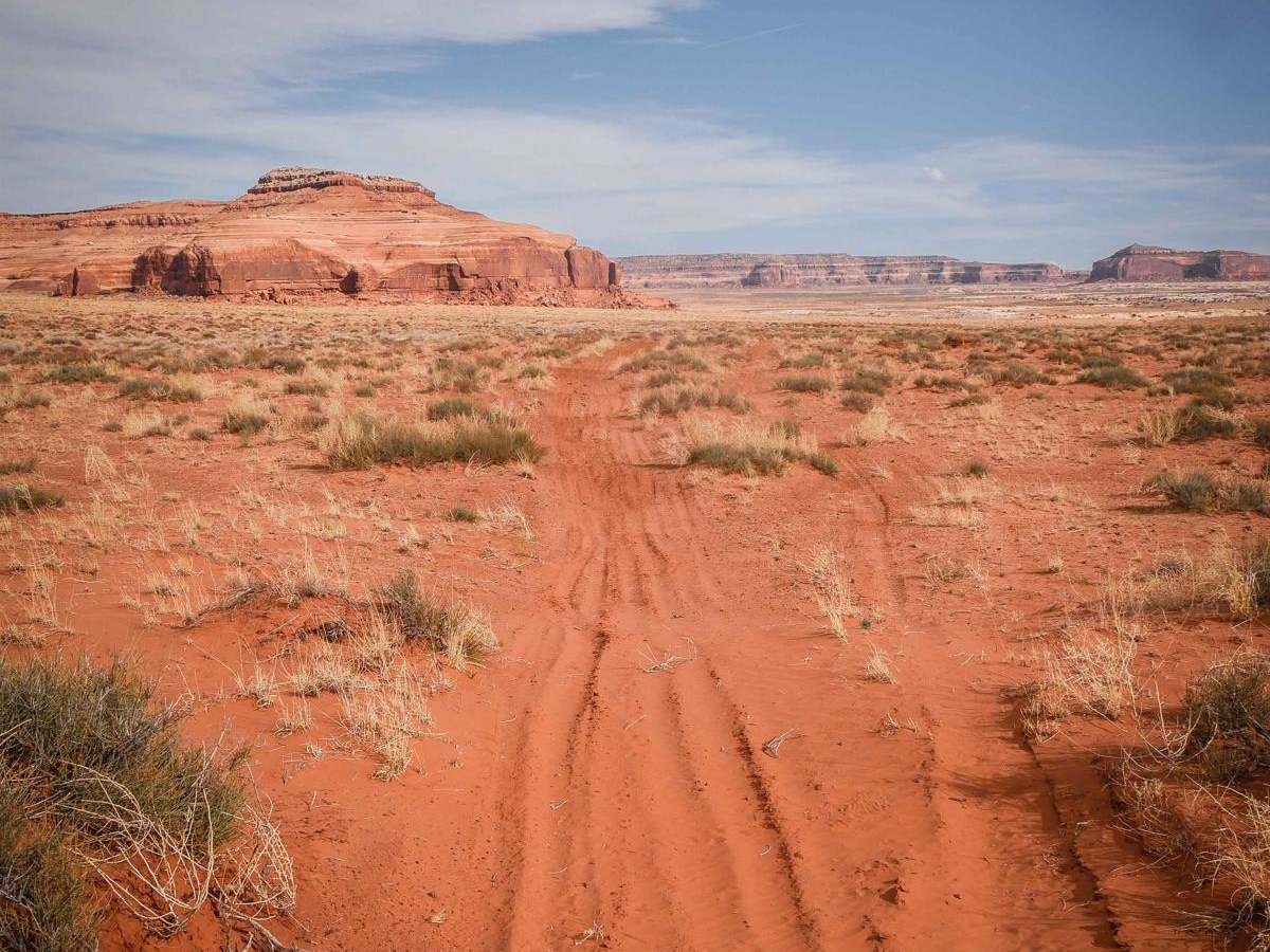 Saddle ATV Trail photo 2