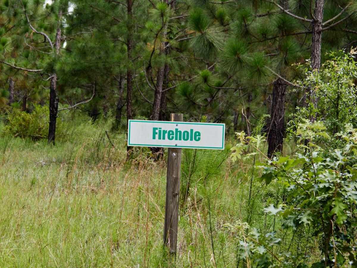 Haskell Barony Swamp Trail photo 3