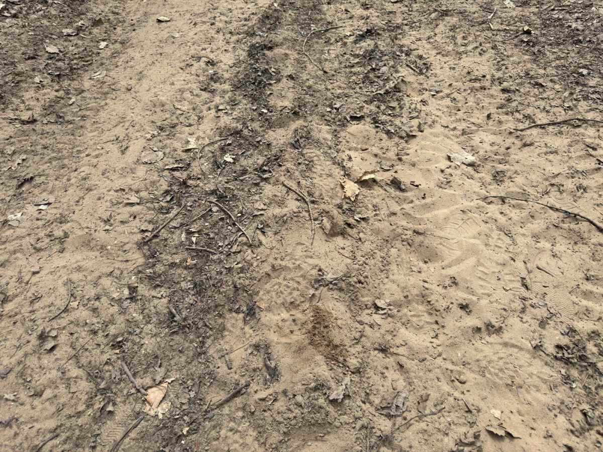 Luhr's Trail photo 3