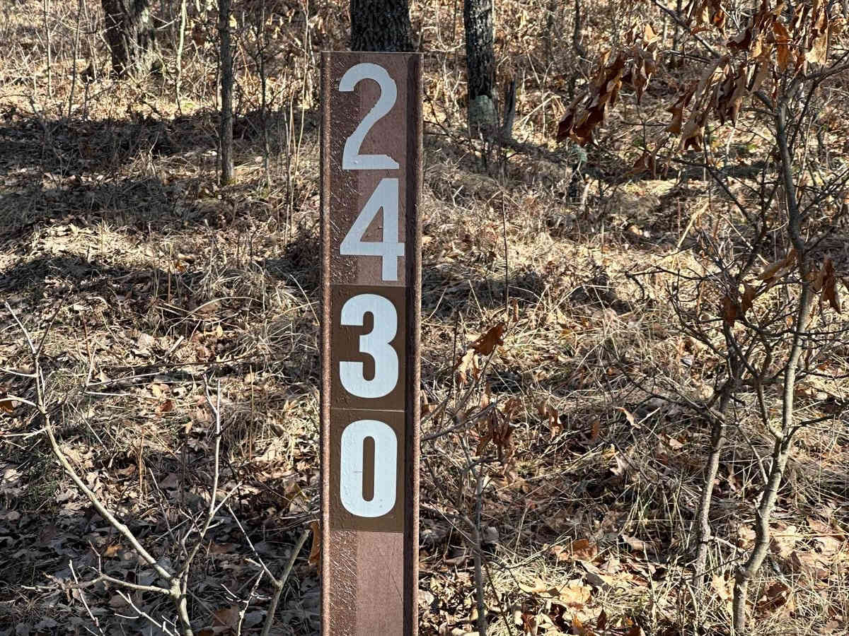 FS 2430 trail photo