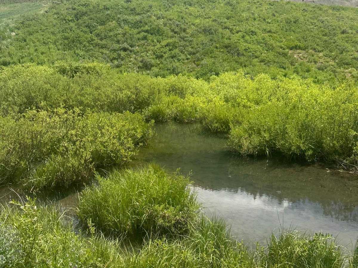 Diamond Creek photo 5