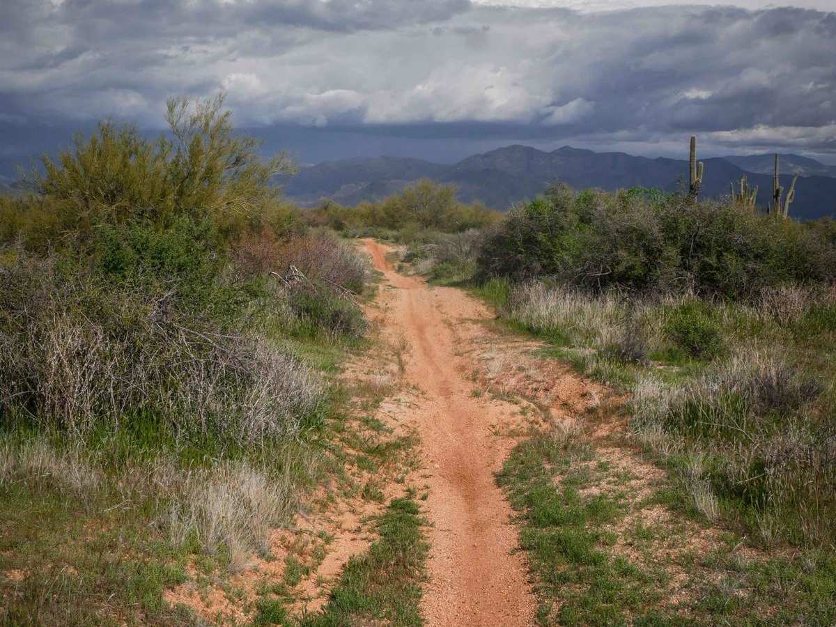 Camp Creek Access ATV Trail photo 4