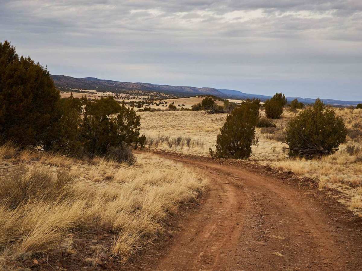 Grade Road Out photo 4