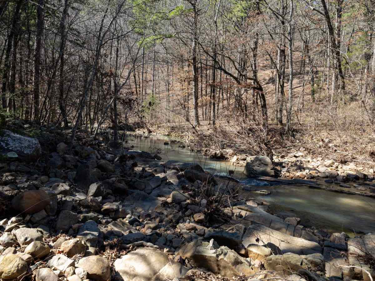 Billy Creek Spur Trail photo 5